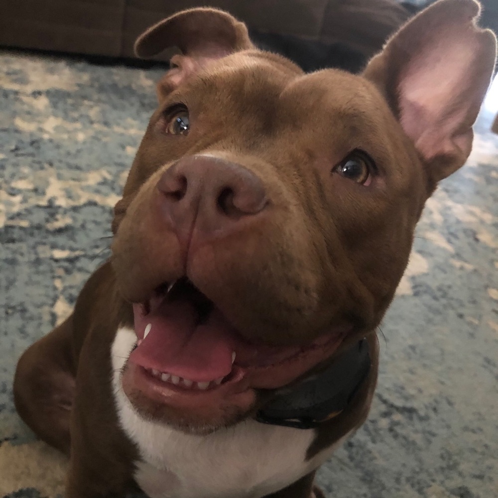 Meet your Posher, Wes - Picture 6 of 9